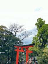 Kyoto / Fushimi-Inari-Taisha